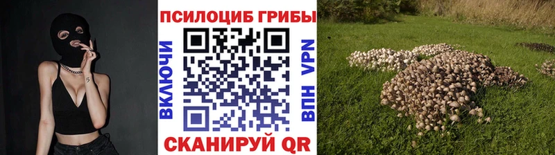 цена наркотик  hydra   Псилоцибиновые грибы ЛСД  Кашира 